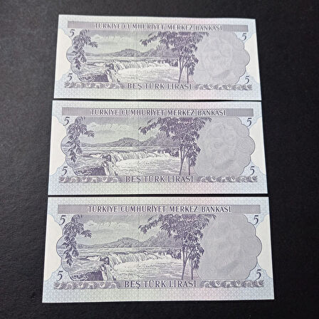 Escoines Koleksiyon 3996367e87a0bc5f78 ÇİL 6.Emisyon 2.Tertip I15 5 Türk Lira Seri takipli ÇİL para
