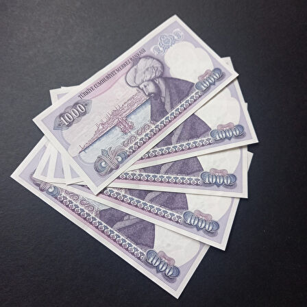 Escoines Koleksiyon 3996367e87dbb7d249 7.Emisyon 1.Tertip 1000 Türk Lirası E25 Seri takipli ÇİL