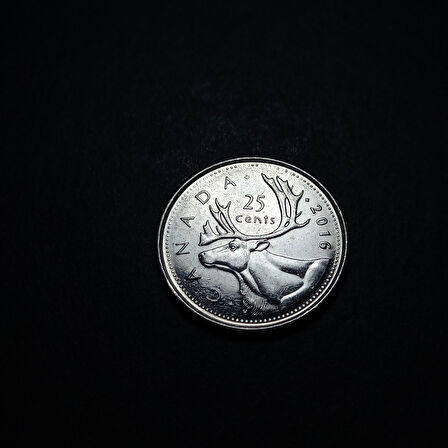 Escoines Koleksiyon 3996367fb93ae79dbd 2016 Kanada 25 Cent ÇİL Eski Yabancı Madeni Para