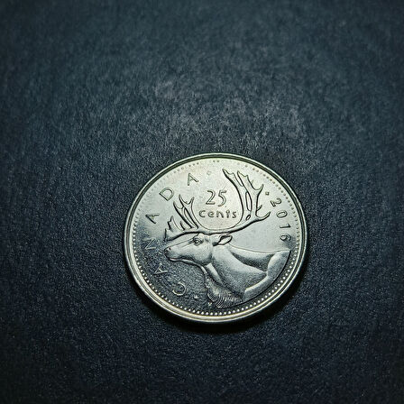 Escoines Koleksiyon 3996367fb93ae79dbd 2016 Kanada 25 Cent ÇİL Eski Yabancı Madeni Para