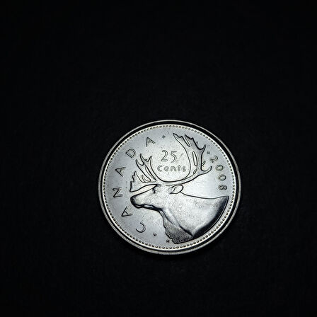 Escoines Koleksiyon 3996367fb95d54eba6 2008 Kanada 25Cent ÇİL Eski Madeni Para