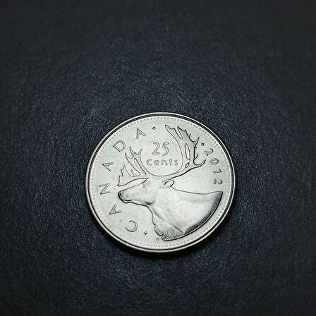 Escoines Koleksiyon 3996367fb977ab75f2 2012 Kanada 25Cent ÇİL Eski Yabancı Para