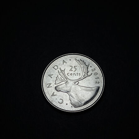 Escoines Koleksiyon 3996367fb977ab75f2 2012 Kanada 25Cent ÇİL Eski Yabancı Para
