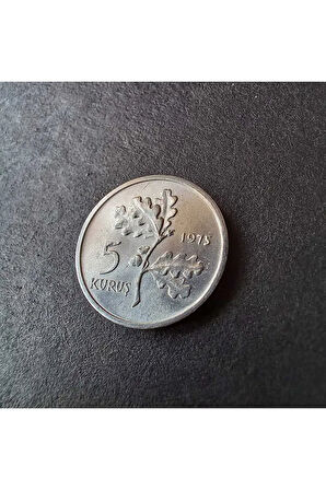 Escoines Koleksiyon 3996368014972802ff 1975 Alüminyum 5 kuruş ÇİL eski madeni para