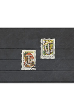 Escoines Koleksiyon 39963682a45c677bb5 1986 damgalı bitki temalı cccp pulları