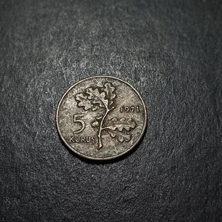 Escoines 399636873439c03498 5 Kuruş 1971 Bronz Para