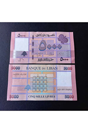 Escoines 39963688916832d72b Lübnan 5000 livres çil eski para