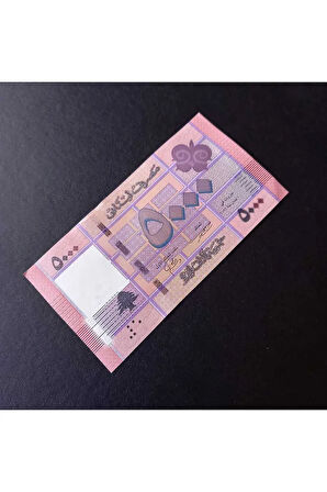Escoines 39963688916832d72b Lübnan 5000 livres çil eski para