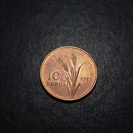 Escoines 39963688b5da69dd81 1973 10 kuruş çil Para Bronz