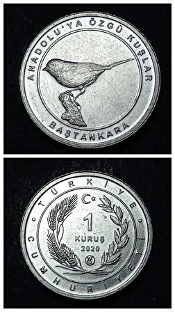 Escoines 39963689494474f755 2020 Anadolu'ya Özgü Kuşlar Serisi BAŞTANKARA 1 Kuruş ÇİL Para