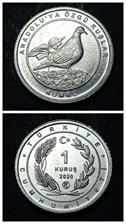 Escoines 399636894944a8e000 2020 Anadolu'ya Özgü Kuşlar Serisi KUMRU 1 Kuruş ÇİL Para