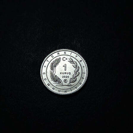 Escoines 399636894944a8e000 2020 Anadolu'ya Özgü Kuşlar Serisi KUMRU 1 Kuruş ÇİL Para