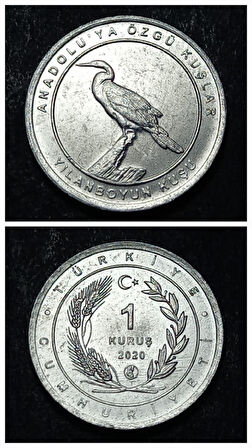 Escoines 399636894944d4d941 2020 Anadolu'ya Özgü Kuşlar Serisi YILANBOYUN KUŞU 1 Kuruş ÇİL Para