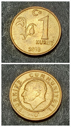 Escoines 39963689919749e313 2018 1 kuruş ççt+ Pirinç para