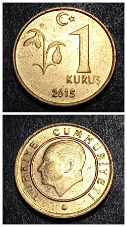 Escoines 3996368991b48a3a20 2015 1kuruş Pirinç çil para