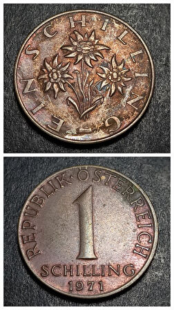 Escoines 3996368ab689b10b5a 1971 Avusturya Şilini 1 Schilling Alüminyum bronz ççt+ para