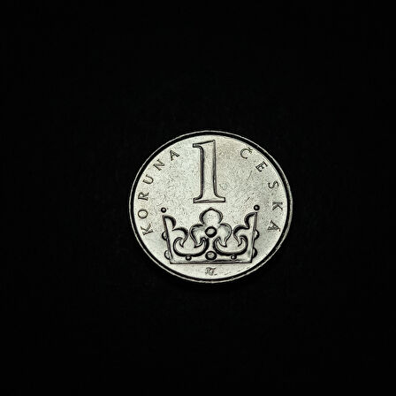 Escoines Koleksiyon 3996368dda42a607e2 2019 Çekya 1 Korun ÇİL eski yabancı madeni para