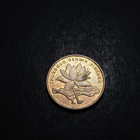 Escoines Koleksiyon 3996368dda5a98809d 2013 Çin 5 Jiao ÇA/ÇİL eski yabancı madeni para