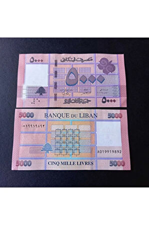 Escoines 3996368f4234d92c09 Lübnan 5000 livres çil