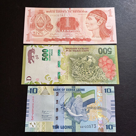 Escoines3996368f4386437d71 3'lü set Çil