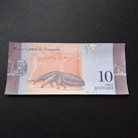 Escoines 3996368f620ef58e31 2018 Venezuela 10Bolivar ÇİL