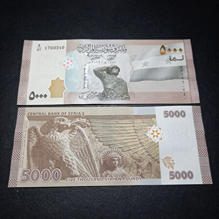 Escoines 3996368f6359f7bb5d 2019 Suriye 5000 Pound ÇİL