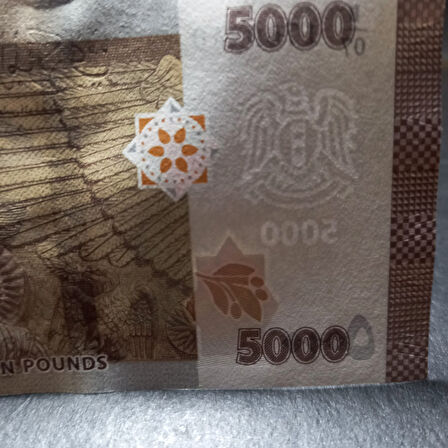 Escoines 3996368f6359f7bb5d 2019 Suriye 5000 Pound ÇİL