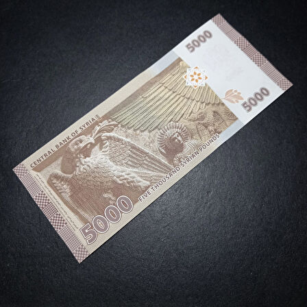 Escoines 3996368f6359f7bb5d 2019 Suriye 5000 Pound ÇİL