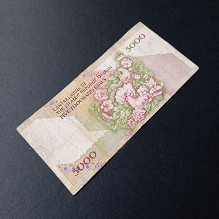 Escoines 3996368f6c8ddb5aa2 5000Riyal çiçekli tip TEMİZ/ÇT