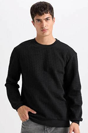 DeFacto Regular Fit Bisiklet Yaka Jakarlı Basic Düz Sweatshirt D5391AX24AUBK27