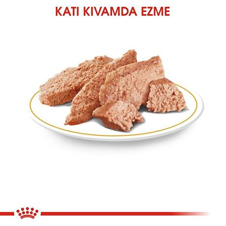 Royal Canin Chihuahua Yaş Köpek Maması 85g