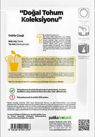 30 Adet Dahlia (Yıldız) Çiçek Tohumu  