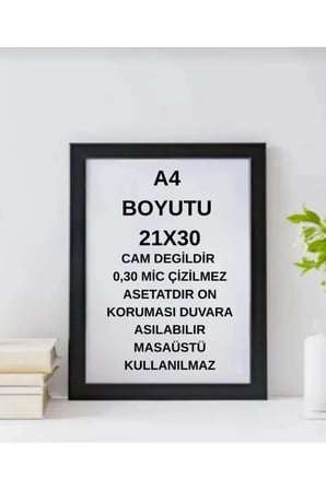 3 ADET A4 21X30 FOTOĞRAF ÇERÇEVESİ DİPLOMA SERTİFİKA ÇERÇEVESİ DUVARA ASILABİLİR