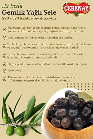 Az Tuzlu Gemlik Yağlı Sele Sofralık Siyah Zeytin 291-320 Kalibre 2 KG