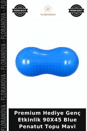 Premium Hediye Genç Etkinlik 90X45 Blue Penatut Topu Mavi