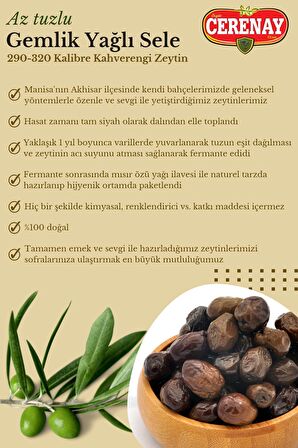 Az Tuzlu Gemlik Yağlı Sele Sofralık Siyah Kahvrengi Zeytin 291-320 Kalibre 10 KG