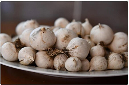 DAĞ SARIMSAĞI 0,5 KG