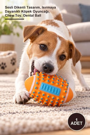1 Adet Köpek Diş Kaşıma Topu – Sesli Dikenli Tasarım, Isırmaya Dayanıklı Köpek Oyuncağı, Chew Toy, Dental Ball