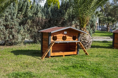 3 Yuvalı Kedi Evi Mamalıklı Ahşap