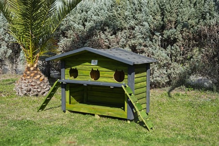 3 Yuvalı Mamalıklı Kedi Evi Yeşil
