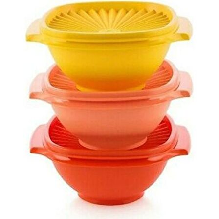 TUPPERWARE YILDIZ SAKLAMA KAPLARI 3LÜ