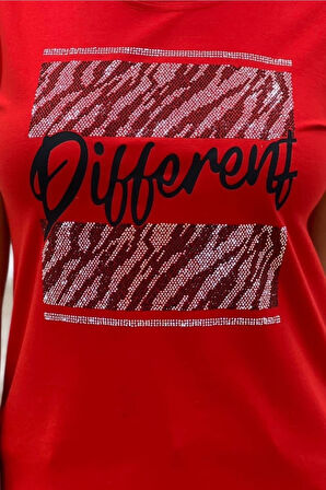 Baskılı Crystal Taşlı Bisiklet Yaka Büyük Beden Kadın T-shirt