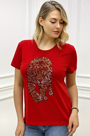 Kaplan Crystal Taşlı Büyük Beden Bisiklet Yaka Siyah Pamuk Kadın T-shirt