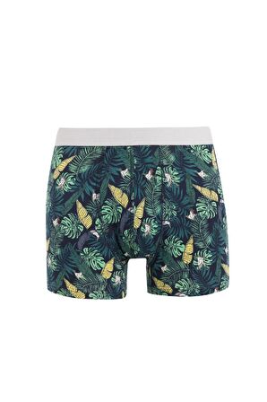 DeFacto Regular Fit Baskılı 3'lü Boxer C9568AX24AUNV135