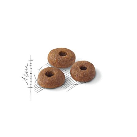 Royal Canin Fit32 Yetişkin Kuru Kedi Maması 400g