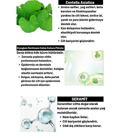 Dermal Cica x Mide Serum Centella Asiatica ve Seramid Özlü Serum 50 ml