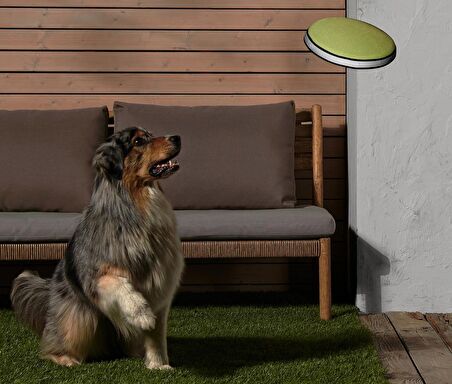 Köpekler İçin Frizbi