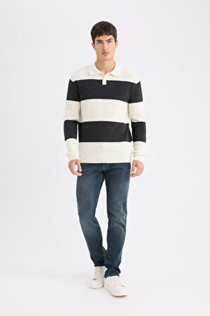 DeFacto Standart Fit Polo Yaka Çizgili Triko Kazak D3590AX24WNER139