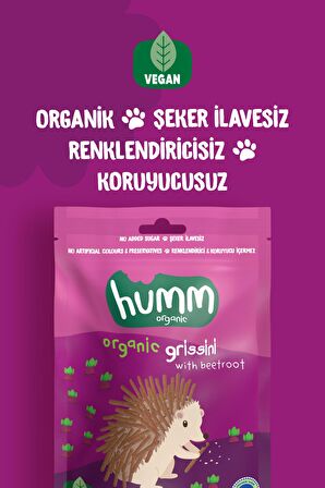 Humm Organic Organik Vegan Pancarlı Grissini 55g