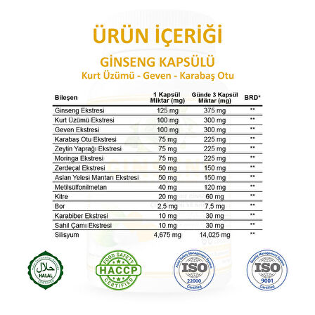 Ginseng Kapsül (GİNSENG CAPSULE)